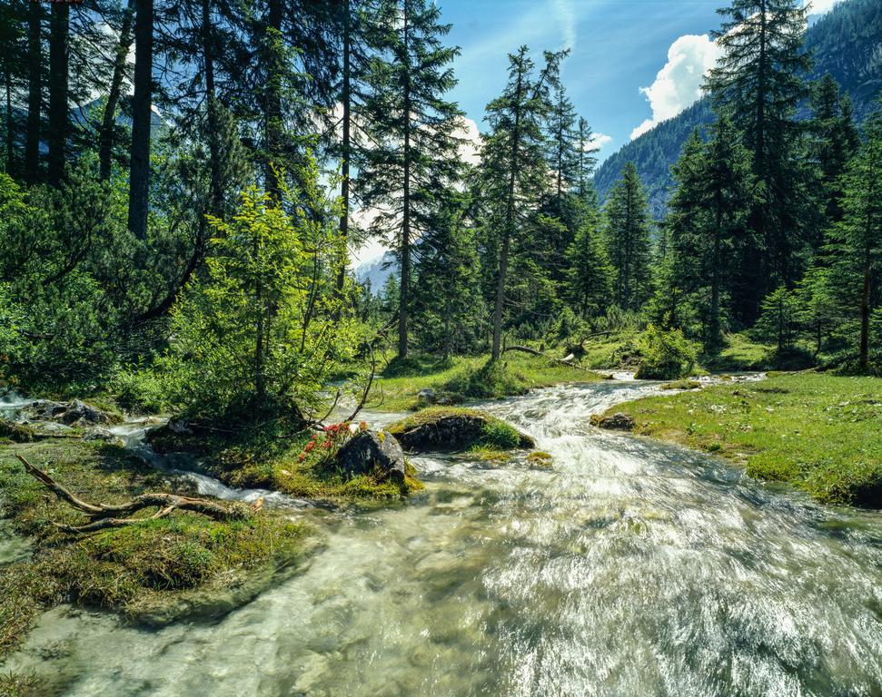 Hotel Laerchenhof Natur Seefeld in Tirol Exterior photo